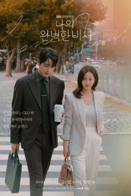 Мой идеальный секретарь (2025)